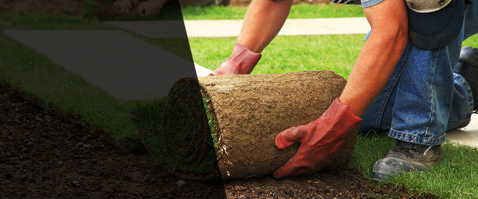 Henryville Landscapers